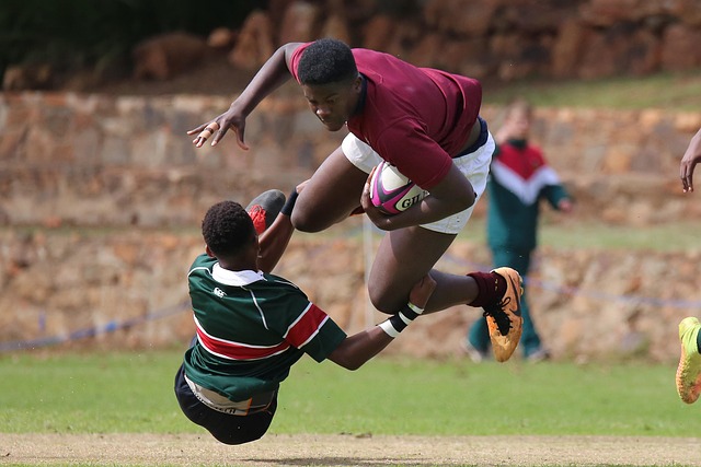 这不仅仅因 这不仅仅因